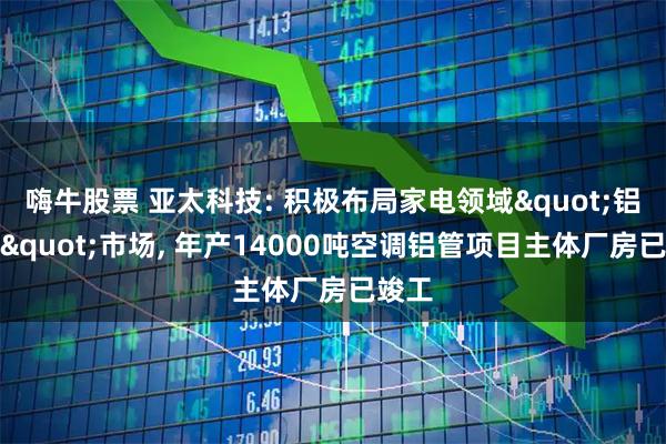 嗨牛股票 亚太科技: 积极布局家电领域"铝代铜"市场, 年产14000吨空调铝管项目主体厂房已竣工