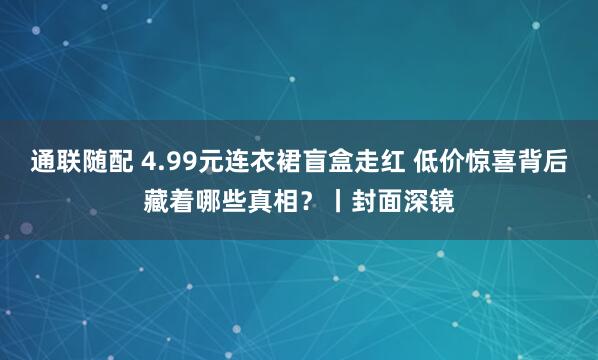 通联随配 4.99元连衣裙盲盒走红 低价惊喜背后藏着哪些真相？丨封面深镜