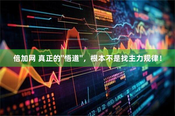 倍加网 真正的''悟道''，根本不是找主力规律！